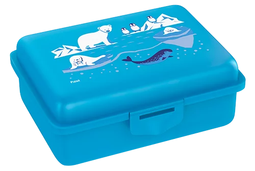 Fizzii Lunchbox Eiswelt