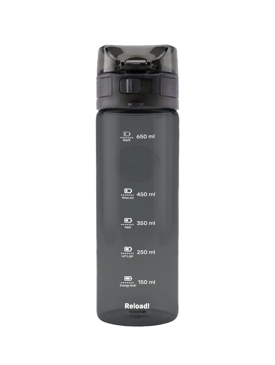 Fizzii 20six Trinkflasche 750 ml Pure Frosted